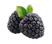 moras